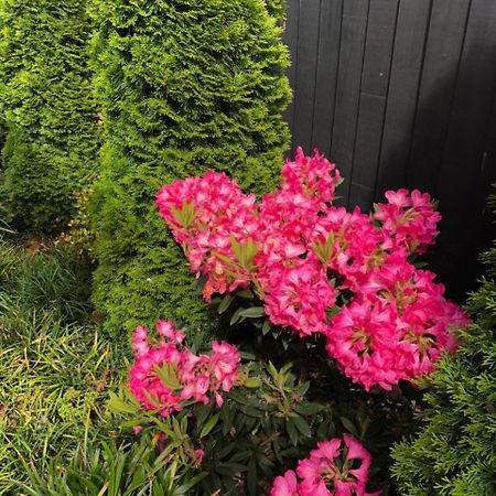 Memorial Holiday Home Christchurch Bagian luar foto
