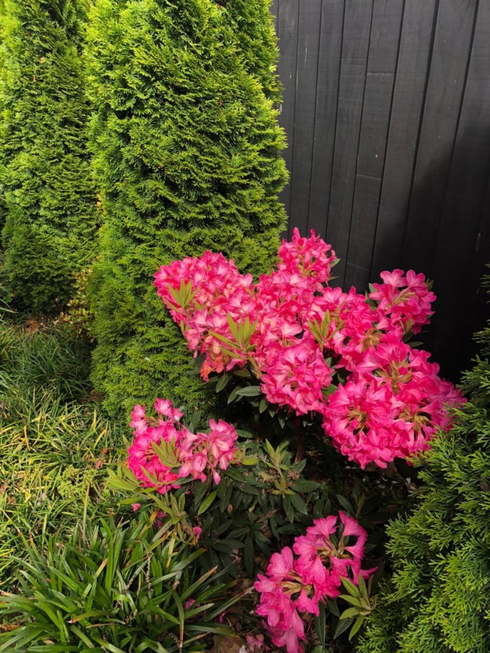 Memorial Holiday Home Christchurch Bagian luar foto